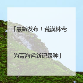 最新发布！荒漠林莺为青海省新记录种