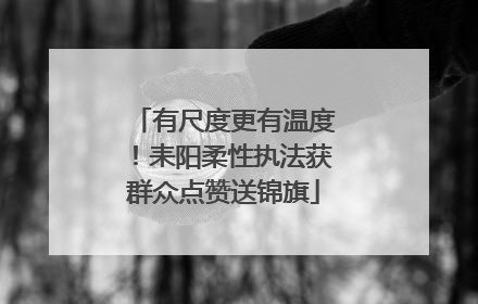 有尺度更有温度！耒阳柔性执法获群众点赞送锦旗