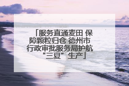 服务直通麦田 保障颗粒归仓 德州市行政审批服务局护航“三夏”生产