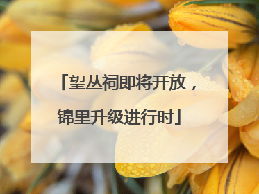 望丛祠即将开放，锦里升级进行时