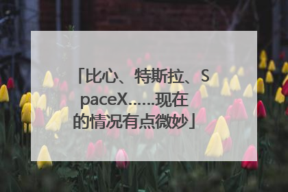 比心、特斯拉、SpaceX……现在的情况有点微妙
