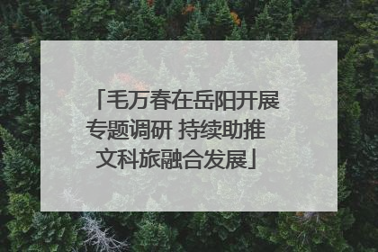 毛万春在岳阳开展专题调研 持续助推文科旅融合发展