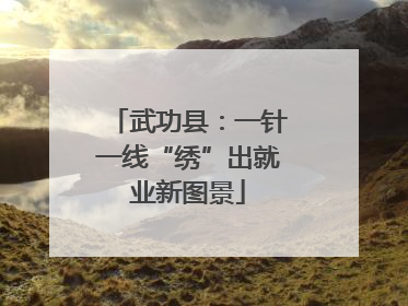 武功县：一针一线“绣”出就业新图景