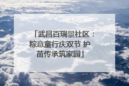 武昌百瑞景社区：粽意童行庆双节 护苗传承筑家园