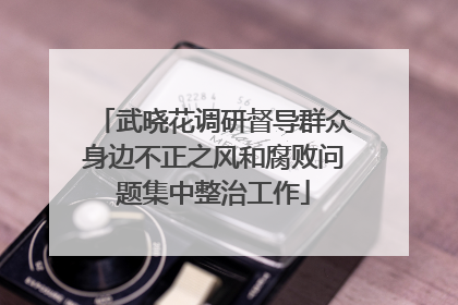 武晓花调研督导群众身边不正之风和腐败问题集中整治工作