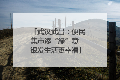 武汉武昌：便民集市添“绿”意 银发生活更幸福