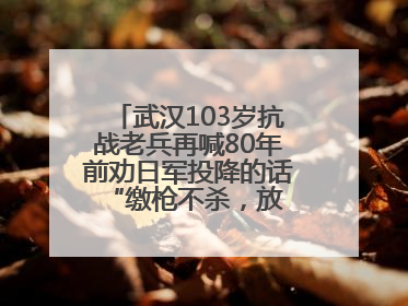 武汉103岁抗战老兵再喊80年前劝日军投降的话 “缴枪不杀，放你回家”