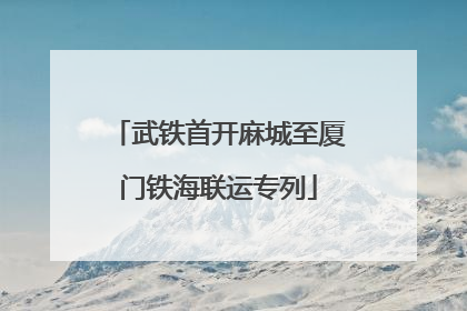 武铁首开麻城至厦门铁海联运专列