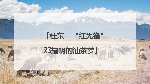 桂东：“红先锋”邓耀明的油茶梦