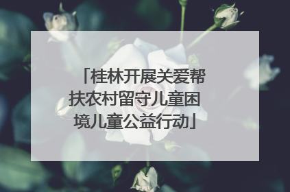 桂林开展关爱帮扶农村留守儿童困境儿童公益行动