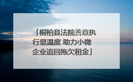 桐柏县法院善意执行显温度 助力小微企业追回拖欠租金