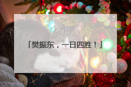 樊振东，一日四胜！