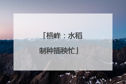 横峰：水稻制种插秧忙