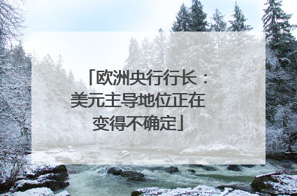 欧洲央行行长：美元主导地位正在变得不确定