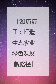 潍坊坊子：打造生态农业绿色发展新路径