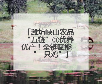 潍坊峡山农品“五链”③优养优产！全链赋能“一只鸡”