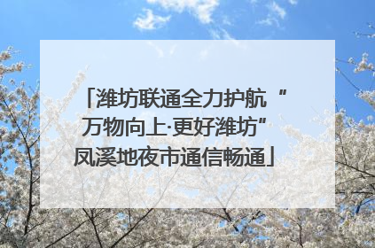 潍坊联通全力护航“万物向上·更好潍坊”凤溪地夜市通信畅通