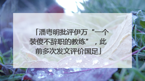 潘粤明批评伊万“一个装傻不辞职的教练”，此前多次发文评价国足