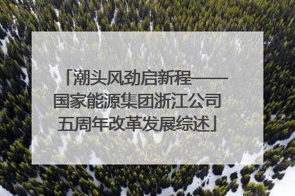 潮头风劲启新程——国家能源集团浙江公司五周年改革发展综述