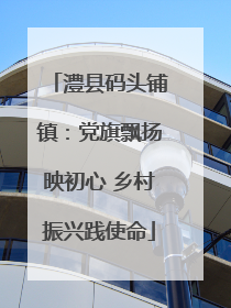 澧县码头铺镇：党旗飘扬映初心 乡村振兴践使命