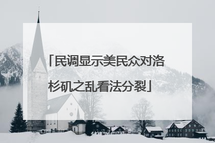 民调显示美民众对洛杉矶之乱看法分裂