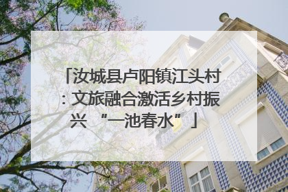 汝城县卢阳镇江头村：文旅融合激活乡村振兴 “一池春水”