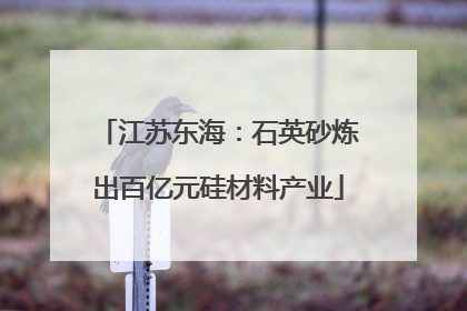 江苏东海：石英砂炼出百亿元硅材料产业