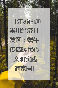 江苏南通崇川经济开发区：端午传情暖民心 文明实践润家园