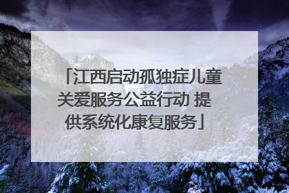 江西启动孤独症儿童关爱服务公益行动 提供系统化康复服务