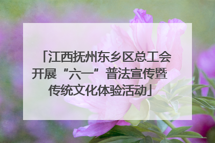 江西抚州东乡区总工会开展“六一”普法宣传暨传统文化体验活动