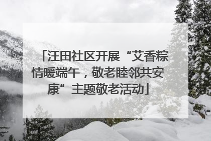 汪田社区开展“艾香粽情暖端午，敬老睦邻共安康”主题敬老活动