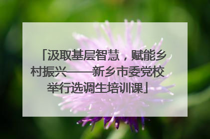 汲取基层智慧，赋能乡村振兴——新乡市委党校举行选调生培训课