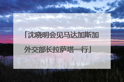 沈晓明会见马达加斯加外交部长拉萨塔一行