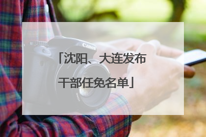 沈阳、大连发布干部任免名单