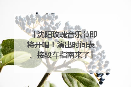 沈阳玫瑰音乐节即将开唱！演出时间表、接驳车指南来了