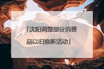 沈阳调整部分消费品以旧换新活动