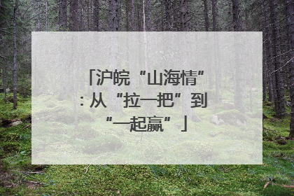 沪皖“山海情”：从“拉一把”到“一起赢”