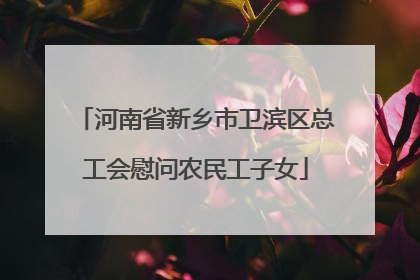 河南省新乡市卫滨区总工会慰问农民工子女