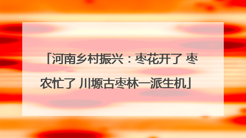 河南乡村振兴：枣花开了 枣农忙了 川塬古枣林一派生机