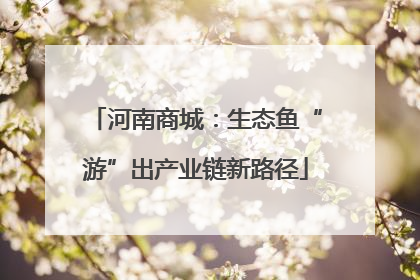 河南商城：生态鱼“游”出产业链新路径