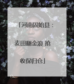 河南固始县：麦田翻金浪 抢收保归仓