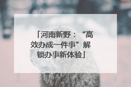 河南新野：“高效办成一件事”解锁办事新体验