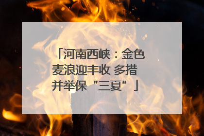 河南西峡：金色麦浪迎丰收 多措并举保“三夏”