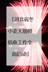 河北省冬小麦大规模机收工作全面启动