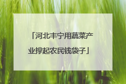 河北丰宁用蔬菜产业撑起农民钱袋子