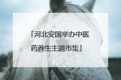 河北安国举办中医药养生主题市集