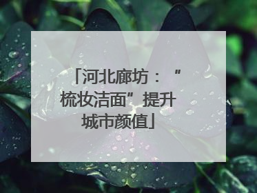河北廊坊：“梳妆洁面”提升城市颜值
