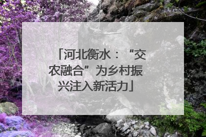 河北衡水：“交农融合”为乡村振兴注入新活力