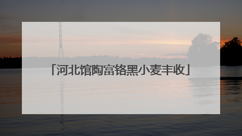 河北馆陶富铬黑小麦丰收