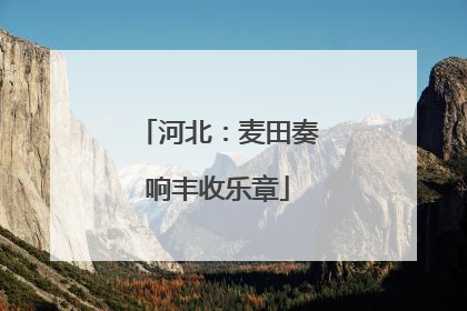 河北：麦田奏响丰收乐章